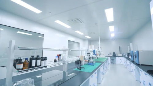 鑄就極致產(chǎn)品 打響中國智造 走進中威時和汽車膜工廠的技術(shù)服務(wù)探索